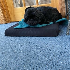 Meet your Posher, Kathleen